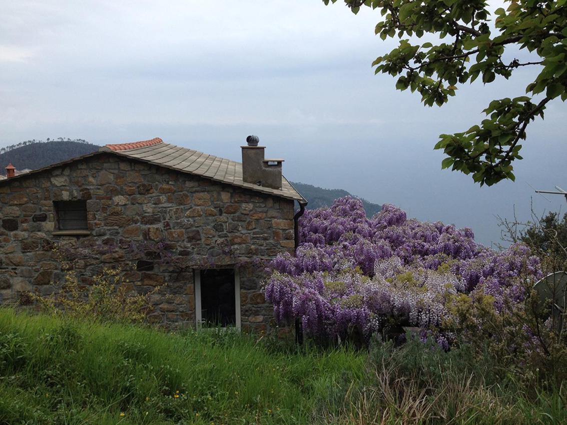 Cottage La Torre Del Pittore Bonassola Buitenkant foto