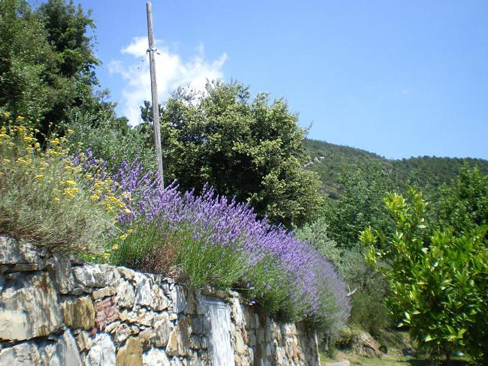 Cottage La Torre Del Pittore Bonassola Buitenkant foto