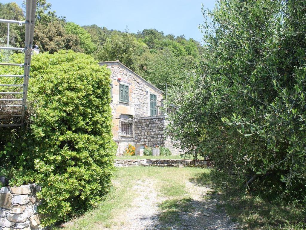 Cottage La Torre Del Pittore Bonassola Buitenkant foto