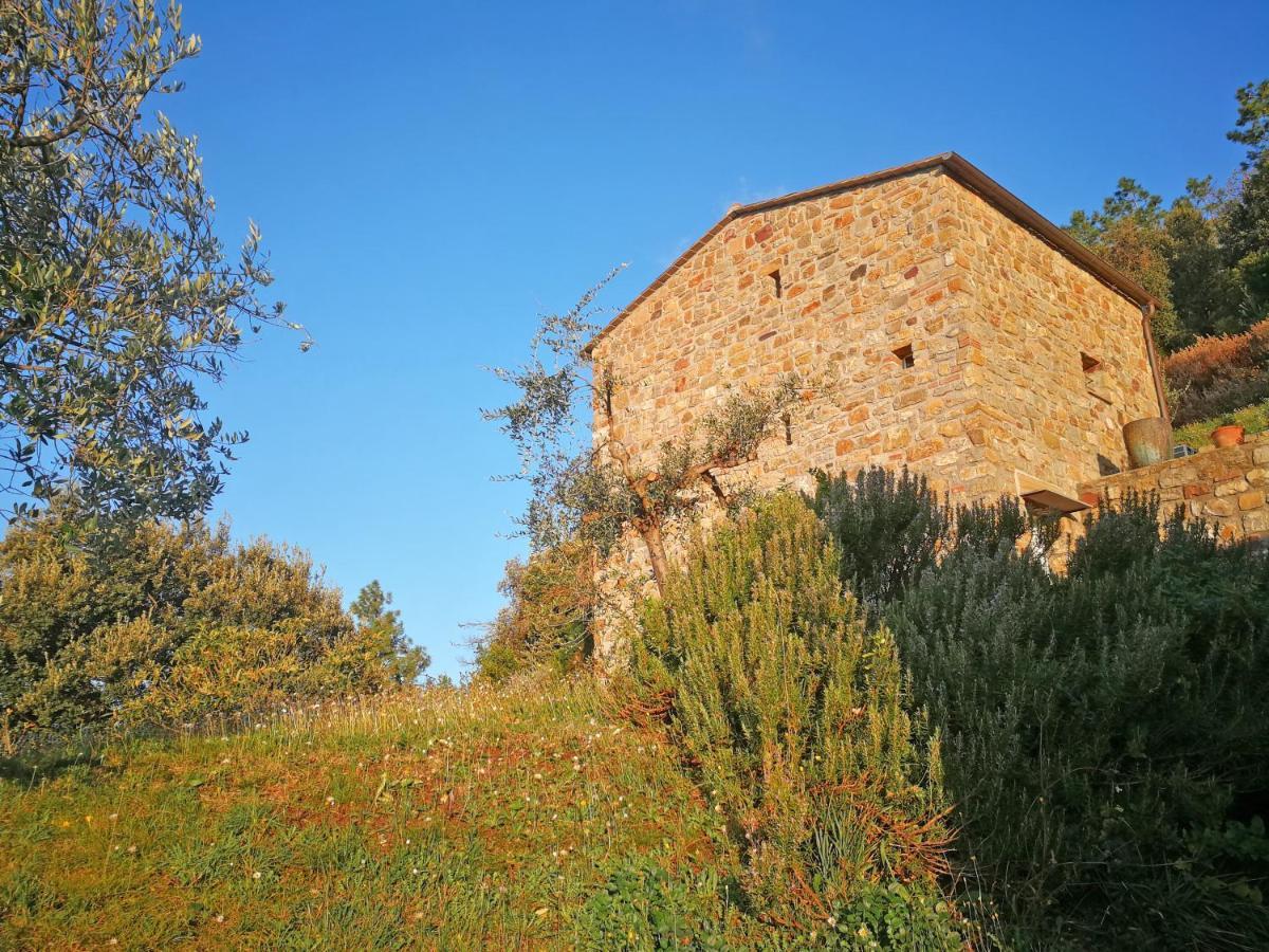 Cottage La Torre Del Pittore Bonassola Buitenkant foto